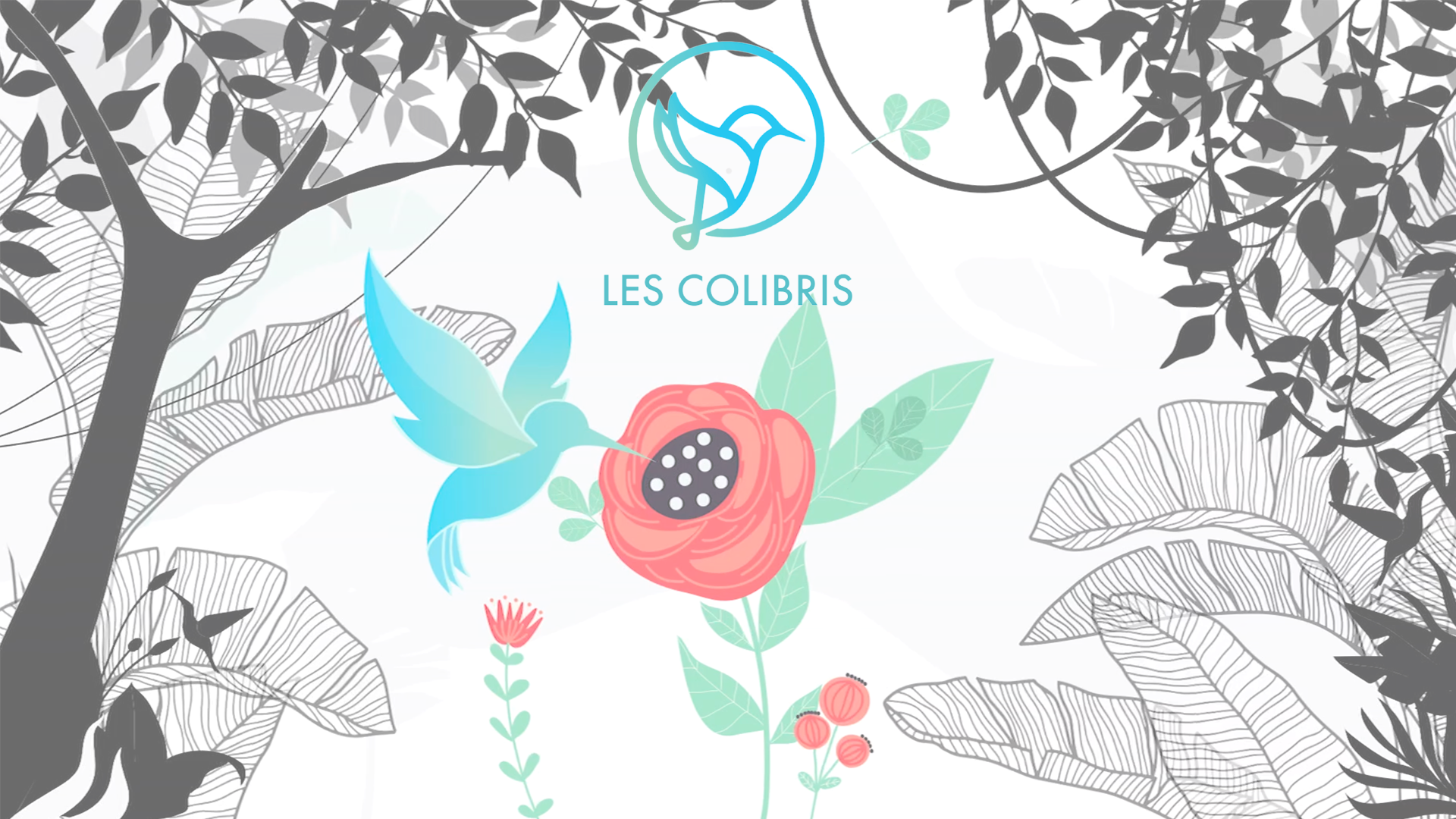 Les Colibris - 27/02/2024
