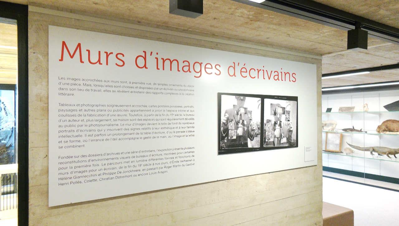 Louvain-la-Neuve : les murs d'écrivains exposés au musée L 