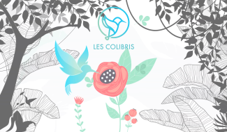 Les Colibris - 27/02/2024